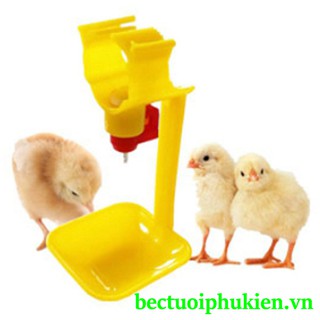 COMBO 10 MÁNG KHAY UỐNG NƯỚC TỰ ĐỘNG CHO GÀ