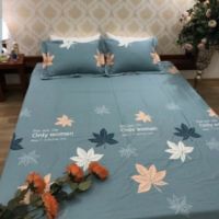 Bộ ga chun trần cotton 100%