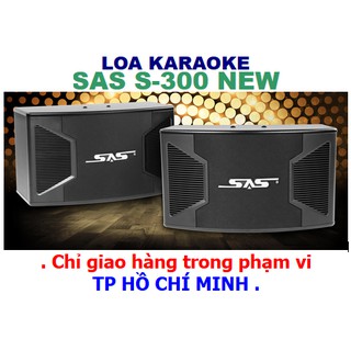 Loa Paramax SAS S-300