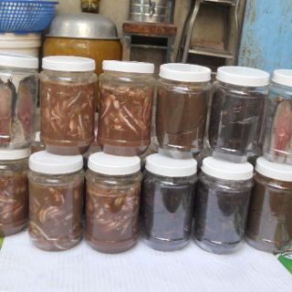 SỈ 5 HỦ MẮM CÁ CƠM PHÚ YÊN