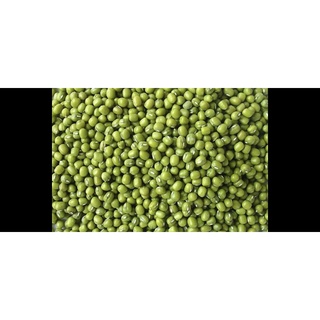 1kg đậu xang hạt, đậu xanh làm giá đỗ