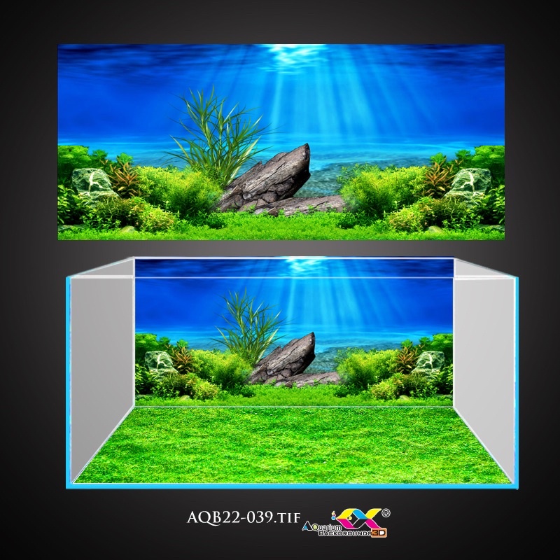 Tranh dán bể cá 3d, bể cá rồng, la hán, cá đĩa siêu đẹp và nét, có keo sẵn trên bề mặt, đa dạng kích