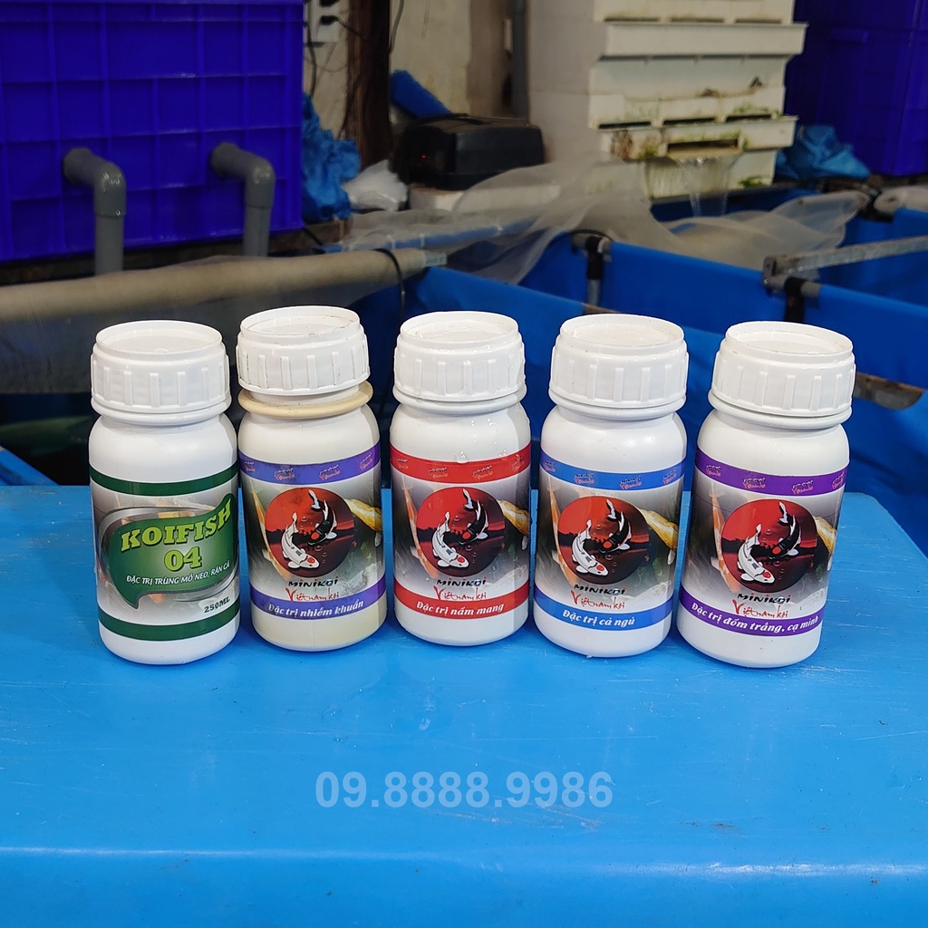 Thuốc đặc trị cạ mình - nấm đốm trắng Cá Koi - KOI FISH 02