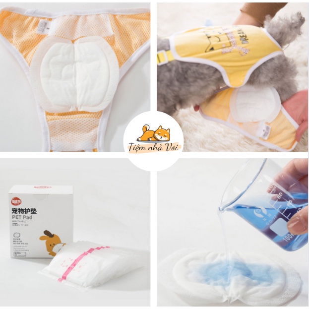 MIẾNG LÓT, BVS CHO THÚ CƯNG KHI ĐẾN KỲ SALO TIỆN LỢI SẠCH SẼ