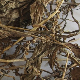Lá Mã Đề khô sạch _100 gram.