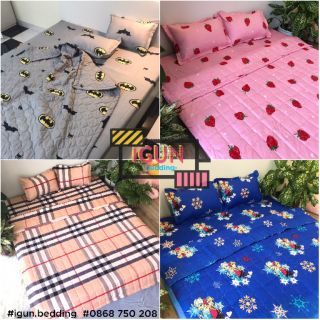 (Chọn mẫu) bộ CHĂN GA GỐI POLY TRẦN BÔNG Hè set hè 4/5 món hàng cao cấp