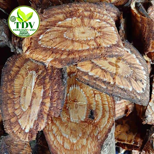 1kg Dây Gắm Tây Bắc hổ trợ gout - Hàng công ty Thảo Dược Việt