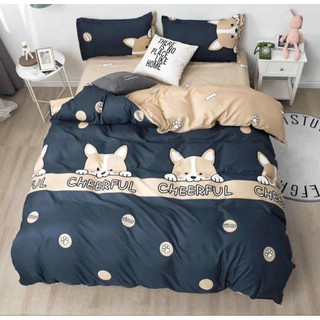 Bộ Chăn Ga Gối Cotton Basic