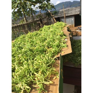 hoa đu đủ đực