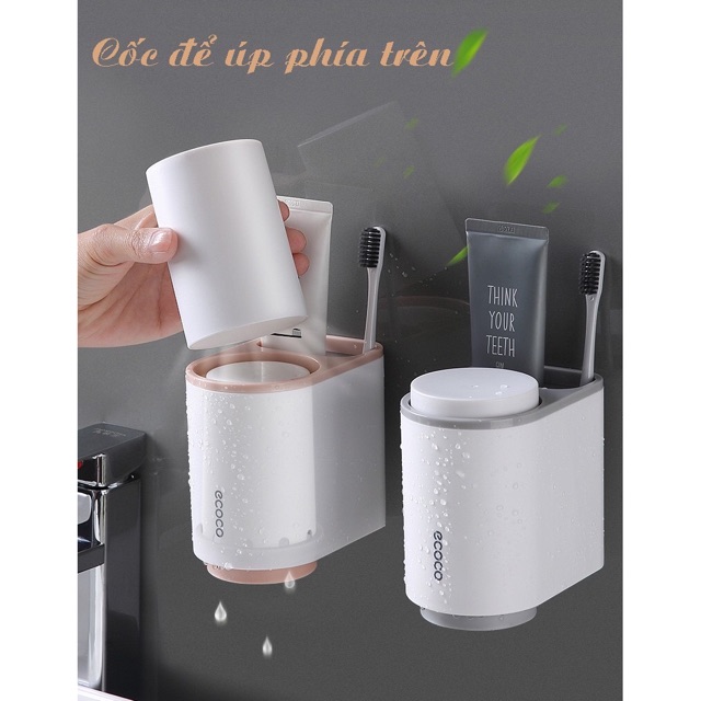 Hộp đựng bàn chải, kem đánh răng ecoco kèm 2 cốc