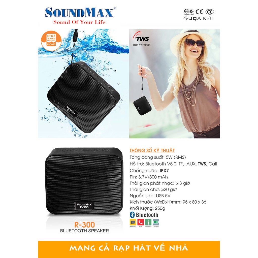 Loa Soundmax R-300 (Hàng Chính Hãng)