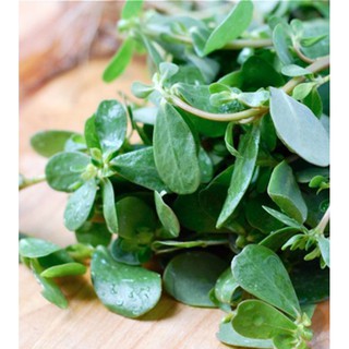 Hạt giống rau sam  {gói 0.5 gram }
