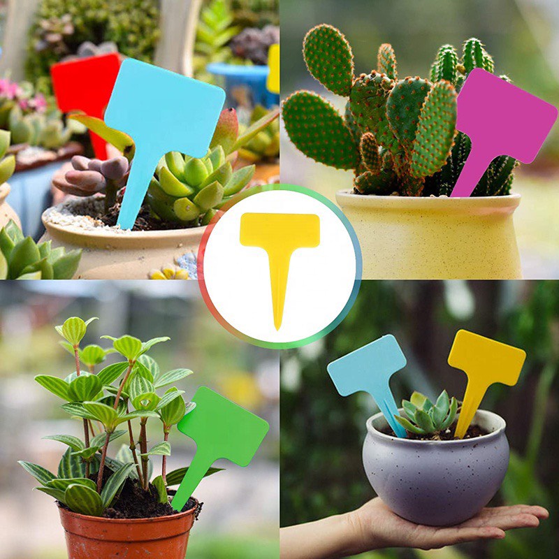 10 Thẻ Ghi Tên Cây, Thẻ Ghi Tên Các Loại - Đánh Dấu Thông Tin Cây - Loại Nhựa Mềm