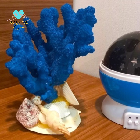 San Hô tự nhiên cho bể cá, bể thủy sinh trang trí tiểu cảnh không gian biển