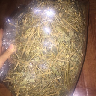 500g cà gai leo tự nhiên