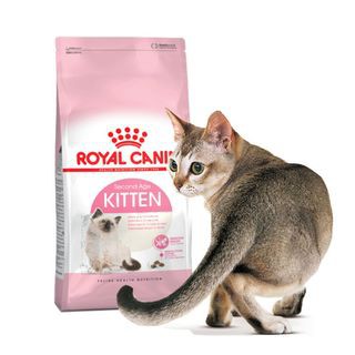 Thức ăn mèo canin kitten 2kg