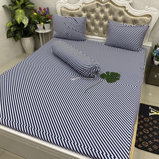 Drap thun siêu lạnh mẫu sọc