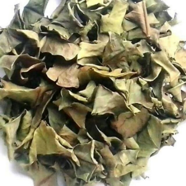 Combo 2kg trà lá vối khô