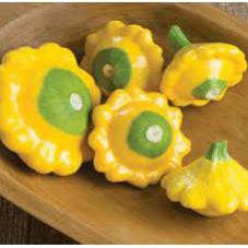 Hạt Giống Bí Đĩa Bay Vàng (Nhập Nguyên Gói Đài Loan)