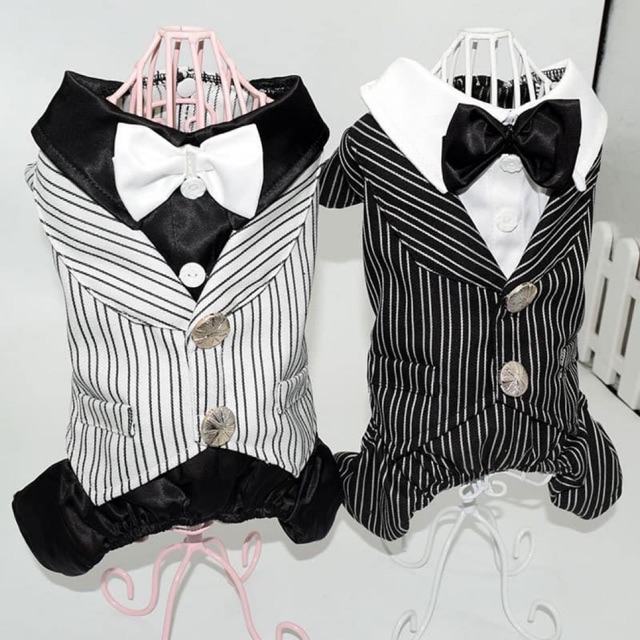 Mẫu áo vest xinh lung linh