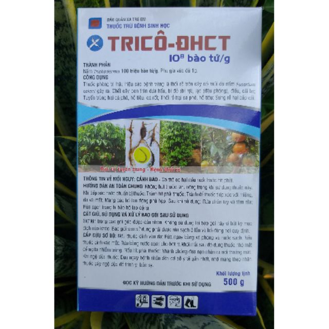 Nấm Đối Kháng Tricoderma - Thuốc Trừ Bệnh Sinh Học Nấm TRICHODERMA - TRICÔ ĐHCT (500gr)