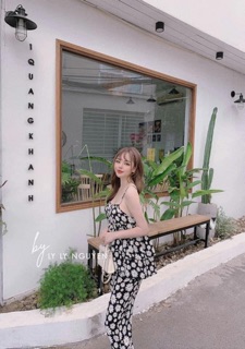 Set hoa cúc🌼