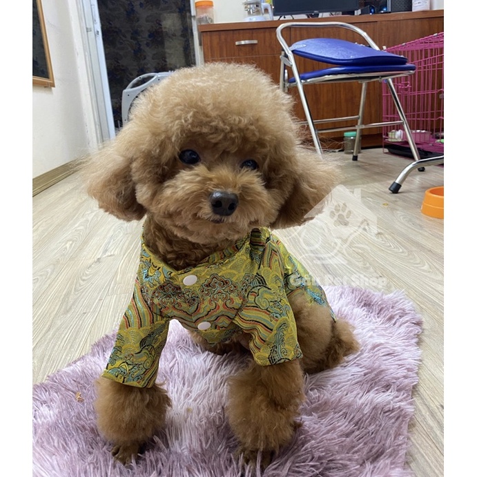 Áo dài Tết 🧧 Áo dài vải gấm cao cấp cho chó mèo
