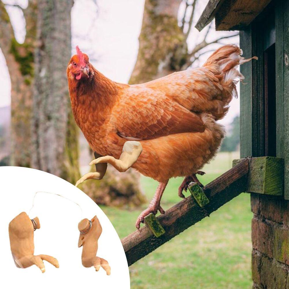 AUGUSTINA Đồ Chơi Cánh Tay Gà T-Rex Không Độc Hại Dùng Trang Trí