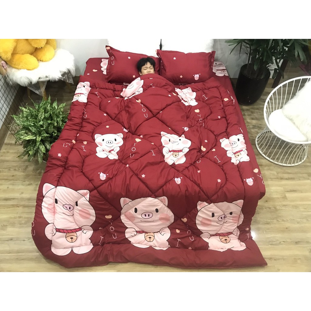 Bộ drap chăn phao ga chun cotton poly ( set 5 món )