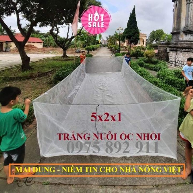 Tráng nuôi ốc nhồi , ốc bưu đen