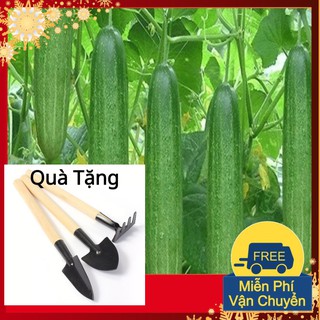 Hạt Giống Dưa Chuột Nếp Ta Tặng Bộ Dụng Cụ Mini Trồng Cây Tặng Bộ Dụng Cụ Mini Trồng Cây