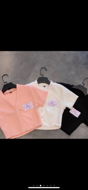 Áo thun lụa bs ulzzang siêu xinh BAELOGO