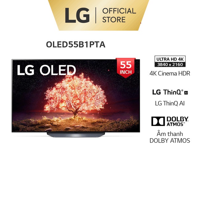 [Mã ELMALL1TR5 giảm 8% đơn 5TR] Smart OLED TV LG 55 inch 4K OLED55B1PTA - Model 2021 - Miễn phí lắp đặt