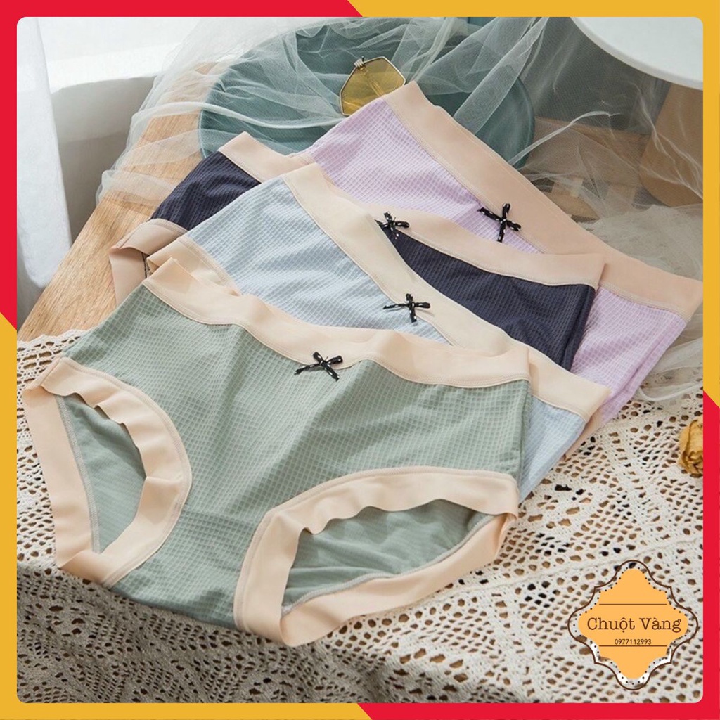 Combo 10 quần lót su cao cấp  2213