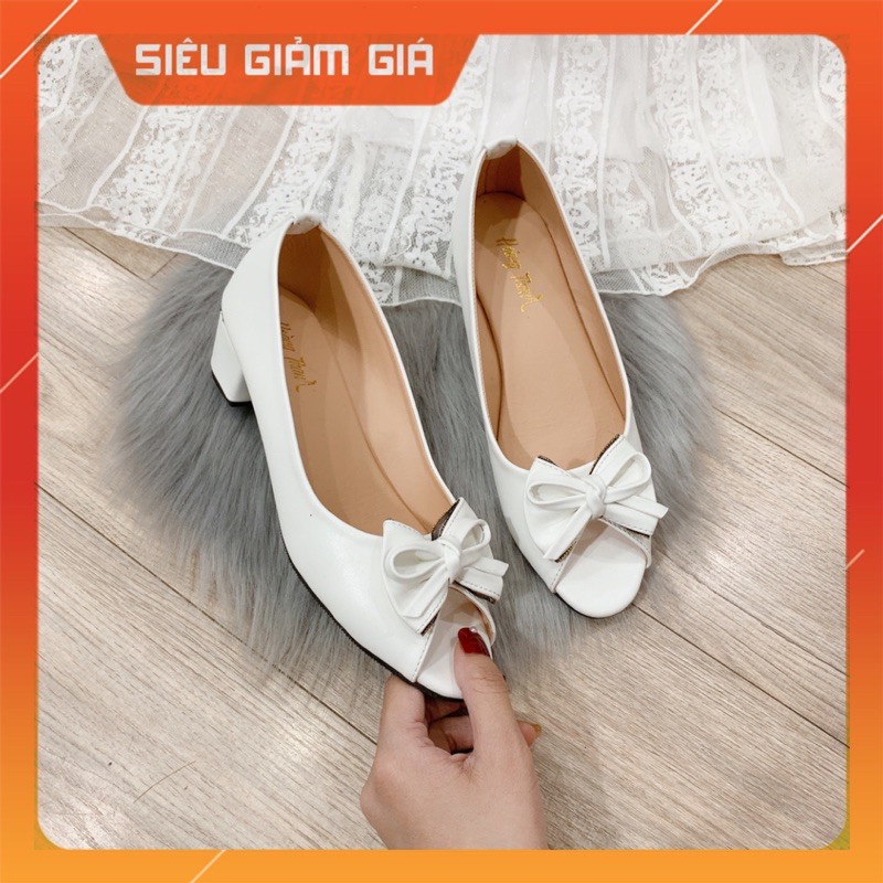 Giày Cao Gót 3 Phân Đế Vuông Mũi Nhọn Giày Búp Bê Nữ Công Sở Hoàng Thanh DN1