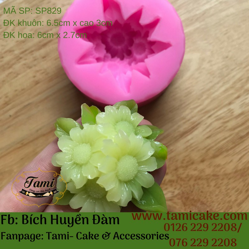 Khuôn silicon rau câu hoa nổi- Cúc Họa Mi | BigBuy360 - bigbuy360.vn