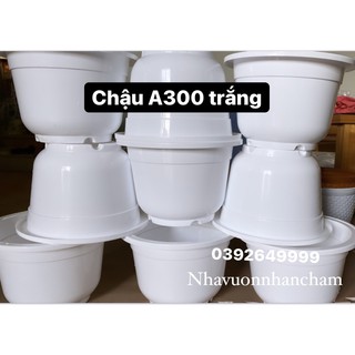 Chậu nhựa trồng cây A300 màu trắng trơn.