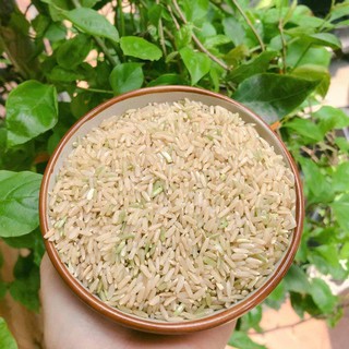 Gạo lứt trắng - Tám thơm Hải Hậu - Canh tác tự nhiên