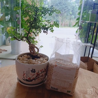 Yến mạch cán mỏng hữu cơ Markal
