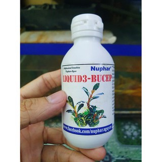 Phân nước Nuphar Liquid 3- bucep
