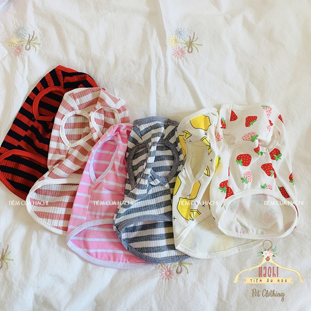 Áo 3 lỗ cho thú cưng