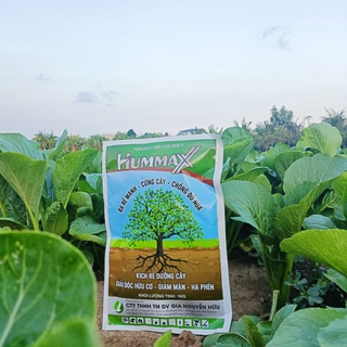 PHÂN BÓN LÁ HUMMAX GÓI 1KG (Dưỡng cây tốt đất)