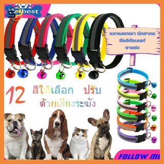 Vòng đeo cổ phát sáng cho thú cưng