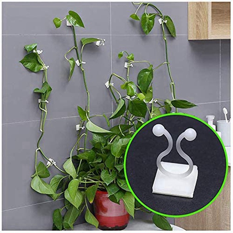 Set 50 Kẹp Cố Định Dây Leo Treo Tường Vô Hình Cho Sân Vườn