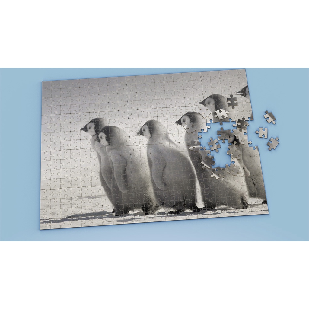 Tranh ghép hình Animal - Tranh ghép hình PENGUIN - Mẫu 2 - Nhận in hình tranh ghép theo yêu cầu