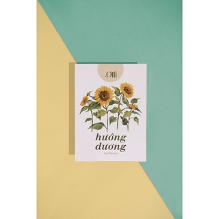 Hạt giống non-GMO - Hướng dương | non-GMO seed Sunflower
