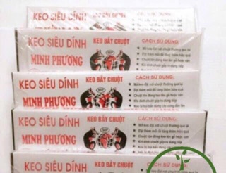 Hộp keo dính chuột