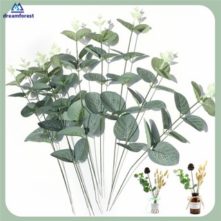 Df Lá Khuynh Diệp Nhân Tạo Dùng Để Trang Trí Nhà Cửa / Phông Nền Chụp Ảnh