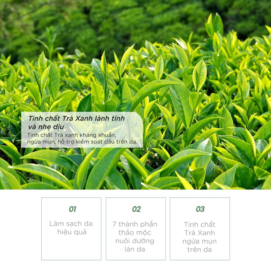 SỮA RỬA MẶT TRÀ XANH VACCI - TINH CHẤT TRÀ XANH - GREEN TEA FRESH SOOTHING FOAM CLEANSING