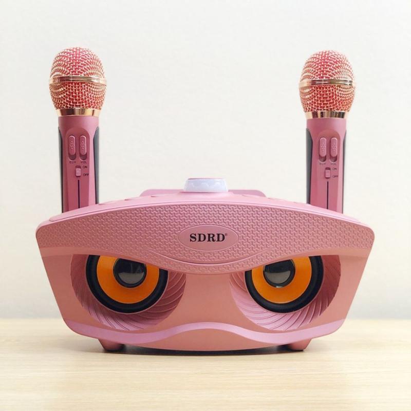 (Mới) Loa Bluetooth Sdrd - 306 , Kèm 2 Mic Không Dây – Loa Không Dây Di Động Cầm Tay